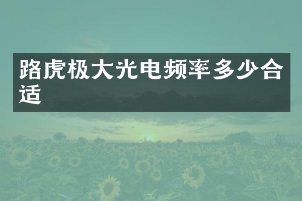 路虎极大光电频率多少合适