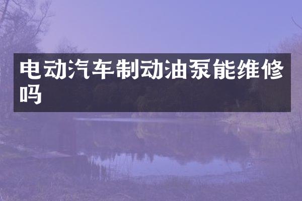 电动汽车制动油泵能维修吗