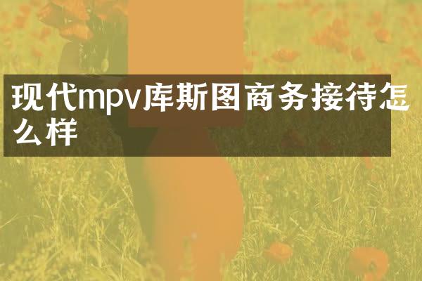 现代mpv库斯图商务接待怎么样