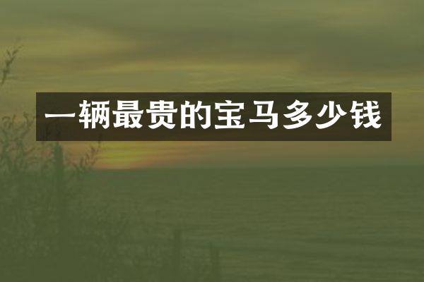 一辆最贵的宝马多少钱