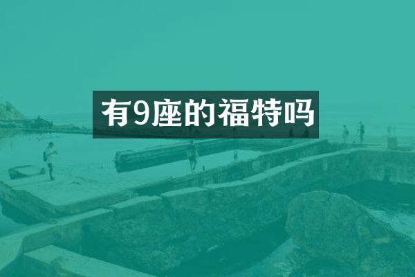 有9座的福特吗