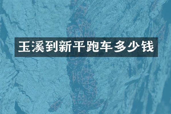 玉溪到新平跑车多少钱