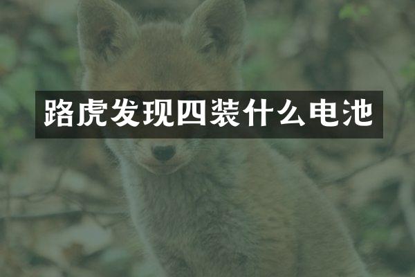 路虎发现四装什么电池