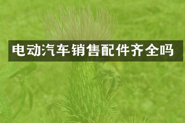 电动汽车销售配件齐全吗