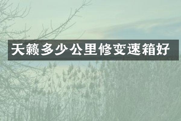 天籁多少公里修变速箱好
