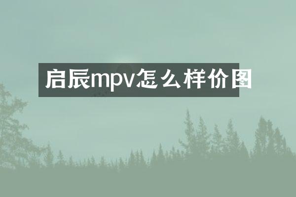 启辰mpv怎么样价图