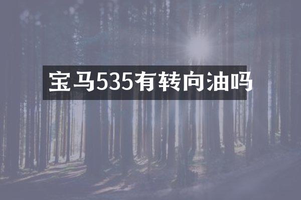 宝马535有转向油吗