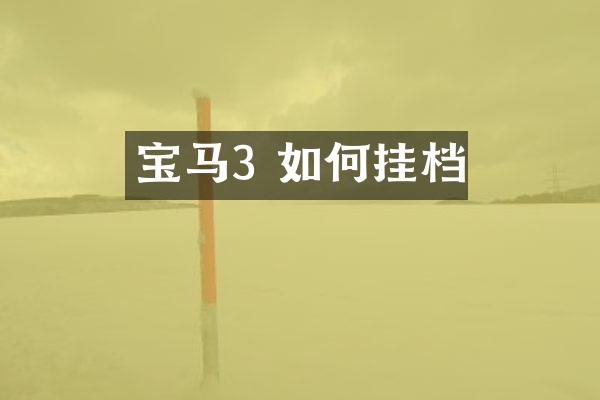 宝马3 如何挂档