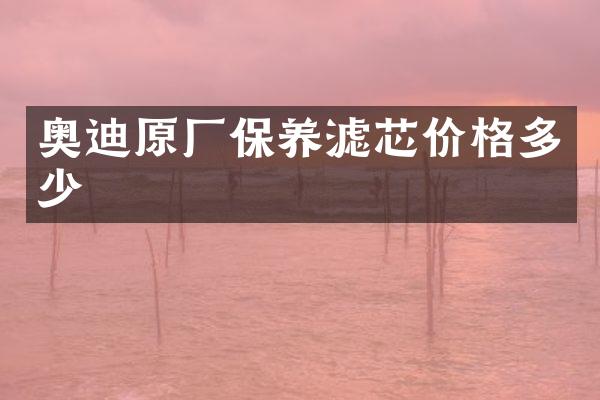 奥迪原厂保养滤芯价格多少