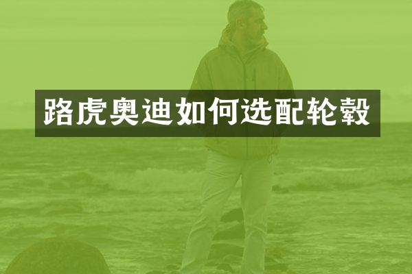 路虎奥迪如何选配轮毂