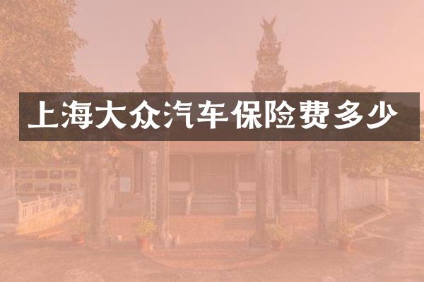 上海大众汽车保险费多少