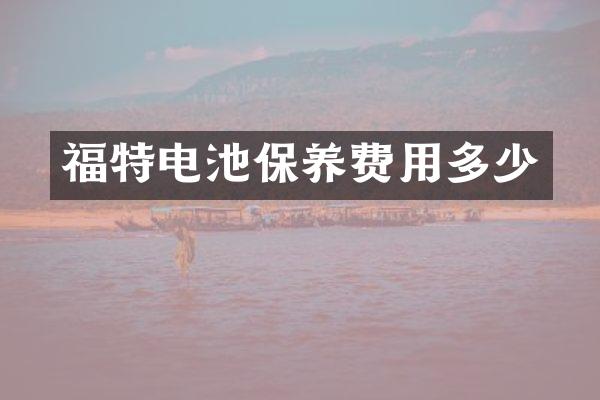 福特电池保养费用多少