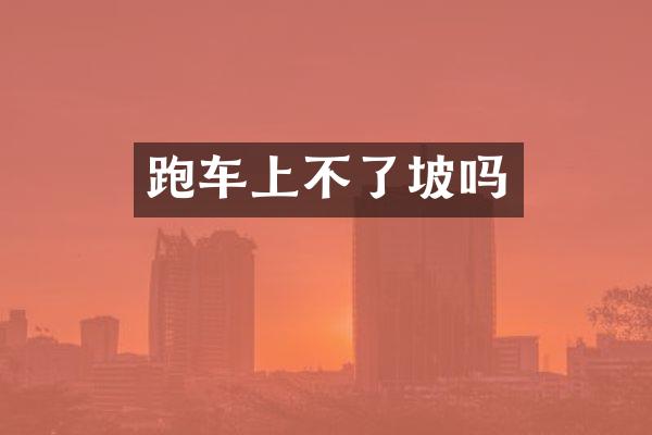 跑车上不了坡吗