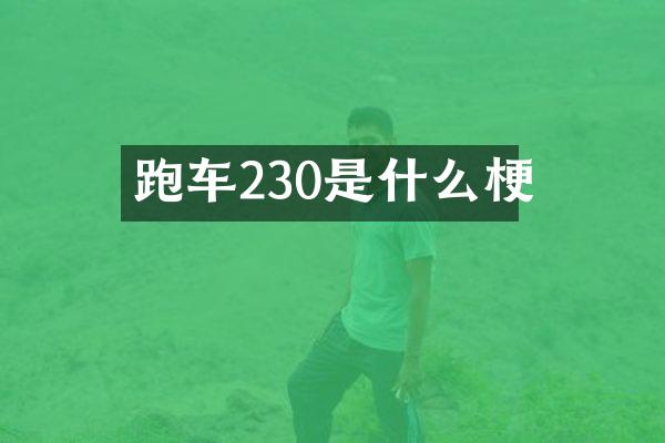 跑车230是什么梗