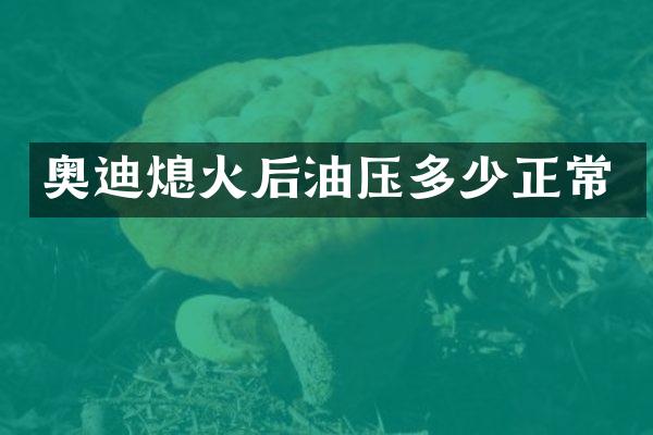 奥迪熄火后油压多少正常