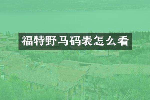 福特野马码表怎么看