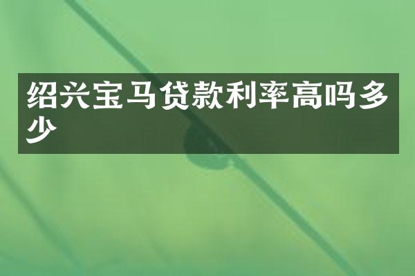 绍兴宝马贷款利率高吗多少