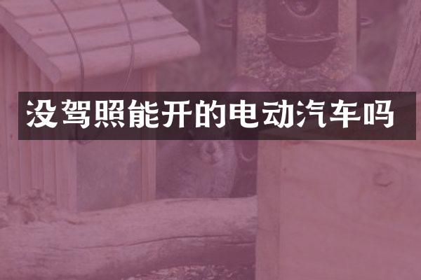没驾照能开的电动汽车吗
