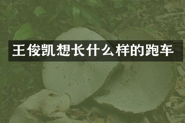 王俊凯想长什么样的跑车