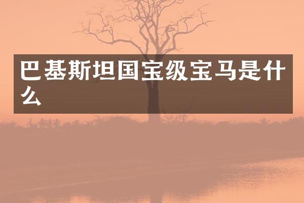 巴基斯坦国宝级宝马是什么
