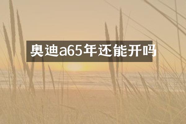 奥迪a65年还能开吗
