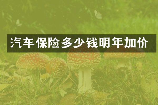 汽车保险多少钱明年加价