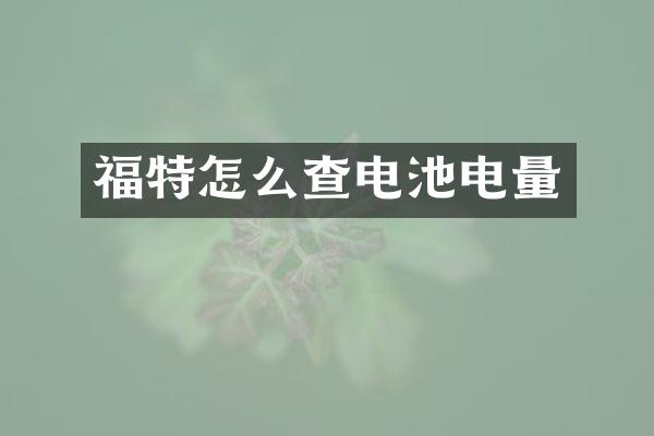 福特怎么查电池电量