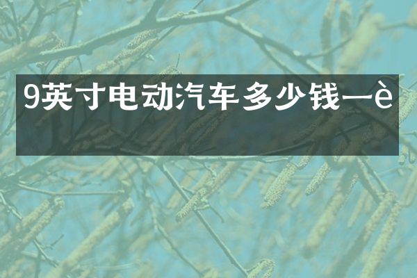 9英寸电动汽车多少钱一辆