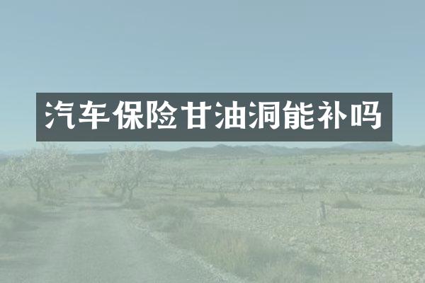 汽车保险甘油洞能补吗