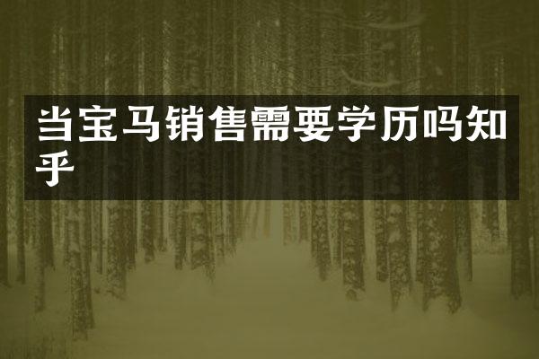 当宝马销售需要学历吗知乎