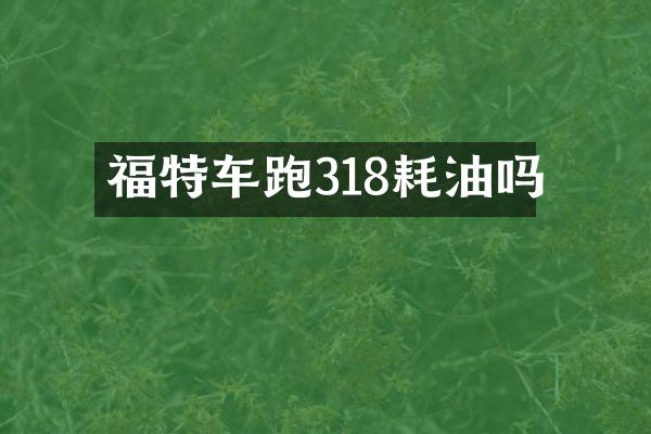 福特车跑318耗油吗