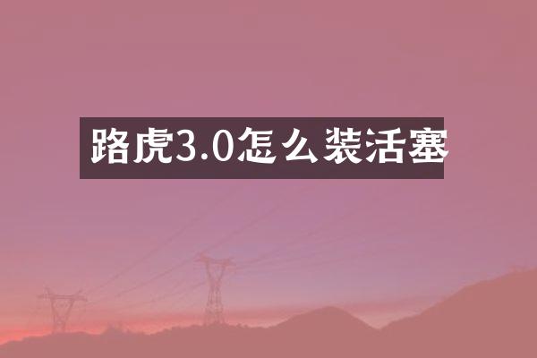 路虎3.0怎么装活塞