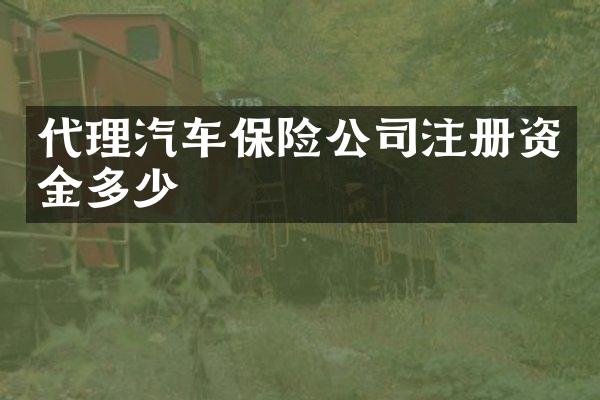 代理汽车保险公司注册资金多少