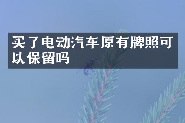 买了电动汽车原有牌照可以保留吗