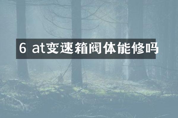 6 at变速箱阀体能修吗