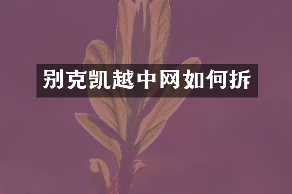别克凯越中网如何拆