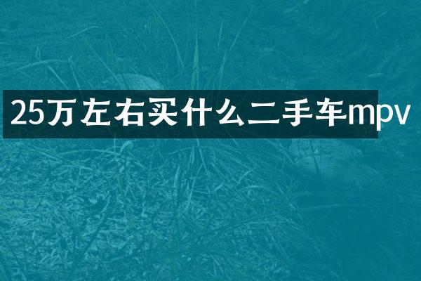 25万左右二手车mpv