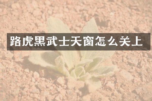 路虎黑武士天窗怎么关上