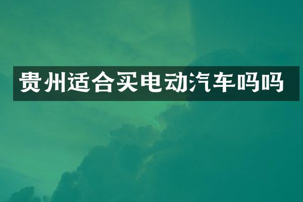 贵州适合买电动汽车吗吗