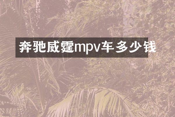 奔驰威霆mpv车多少钱