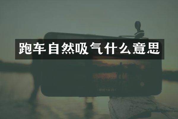 跑车自然吸气什么意思