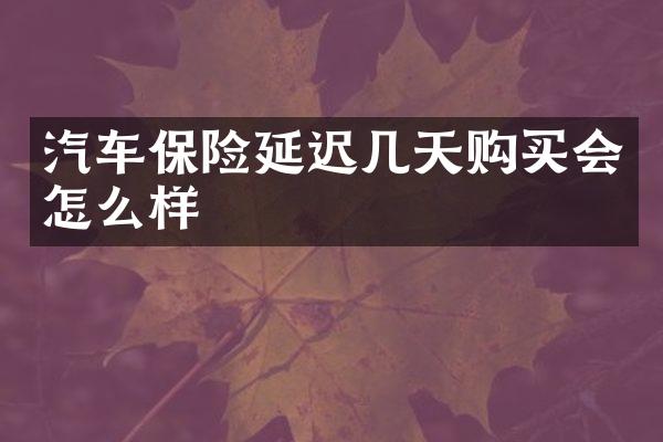 汽车保险延迟几天购买会怎么样