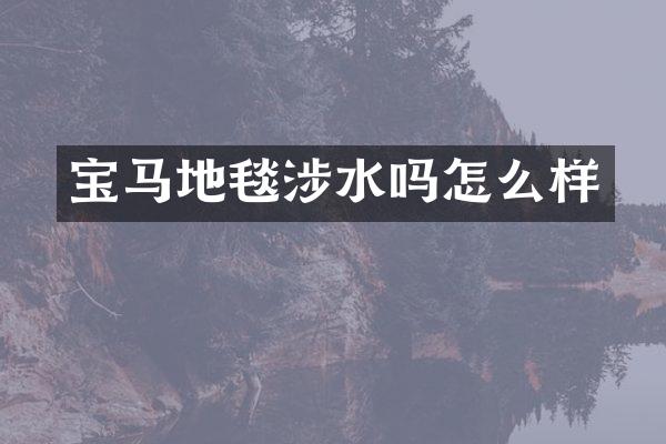 宝马地毯涉水吗怎么样