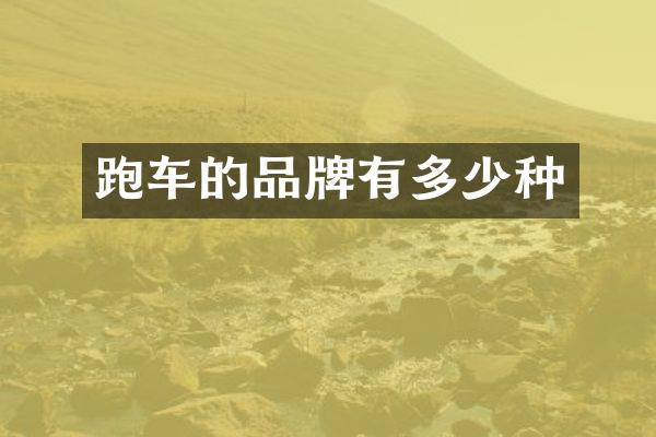 跑车的品牌有多少种