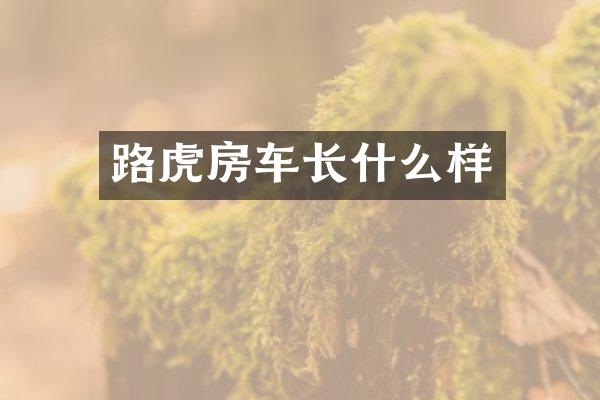路虎房车长什么样