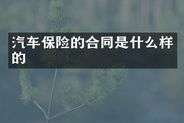 汽车保险的合同是什么样的