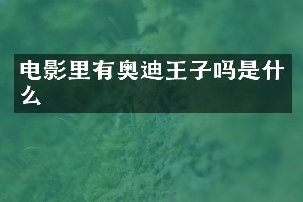 电影里有奥迪王子吗是什么