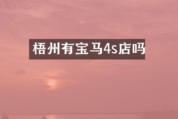 梧州有宝马4s店吗