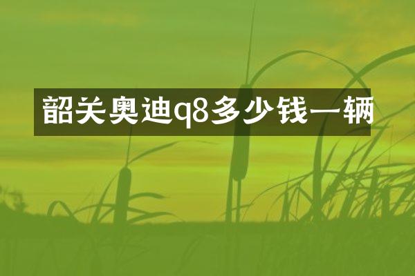 韶关奥迪q8多少钱一辆