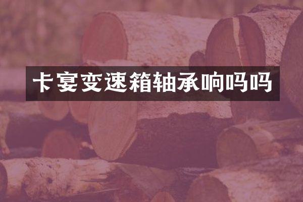 卡宴变速箱轴承响吗吗